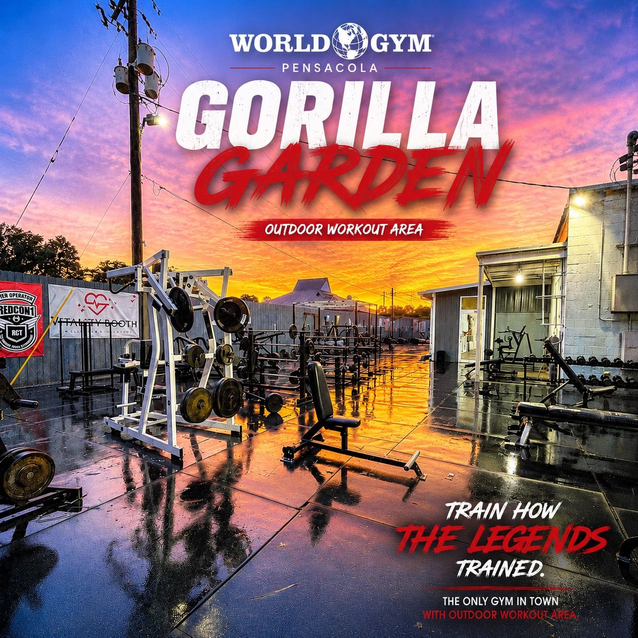 Gorilla Garden